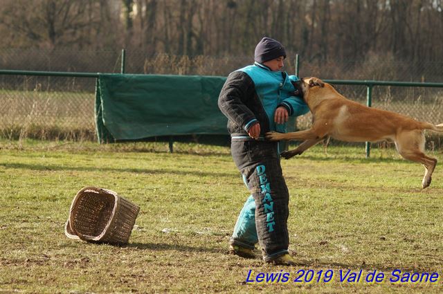 2019 ring val de saone val2.jpg